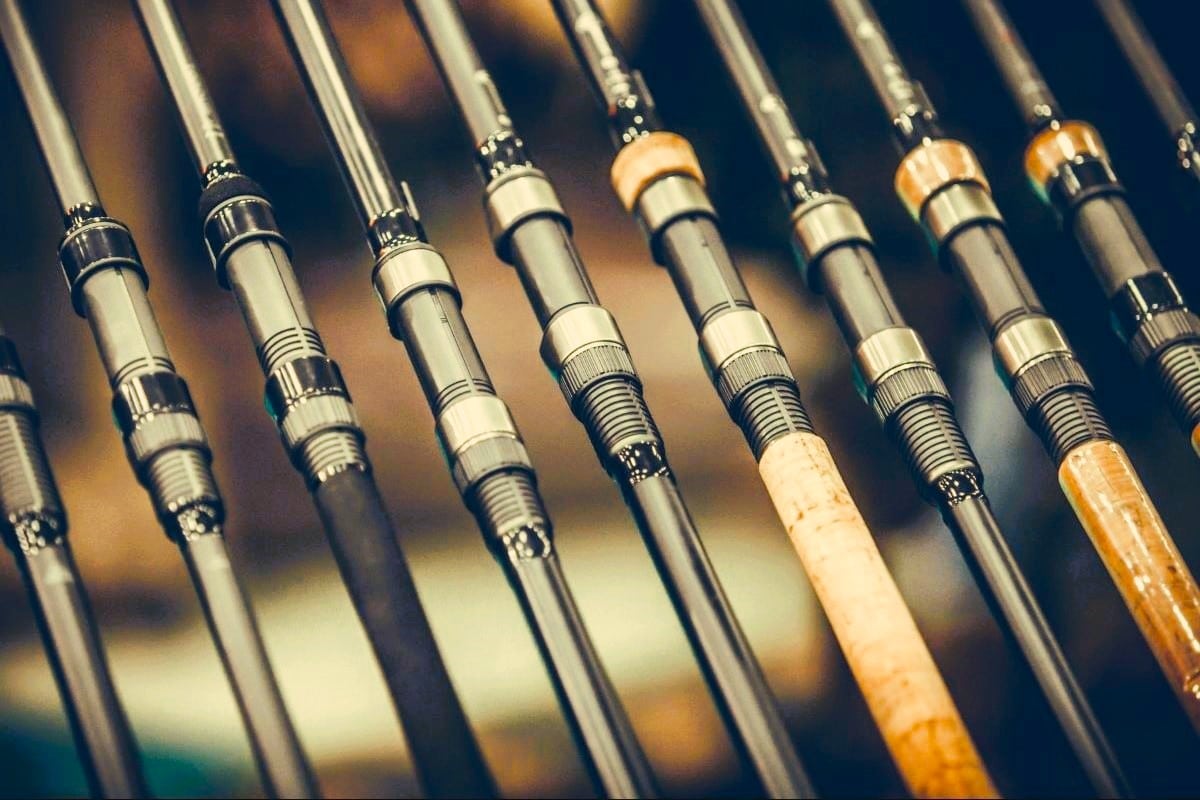 Best Bass Rods Under Some Under And Under